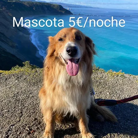 Casa Chisco Appartamento *